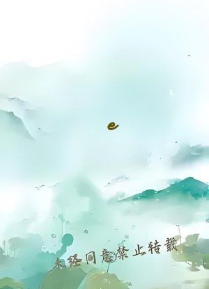 e-book电子小说阅读器