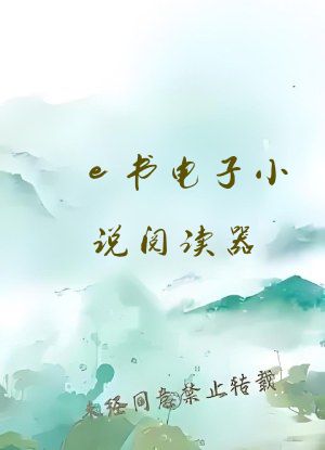 e书电子小说阅读器
