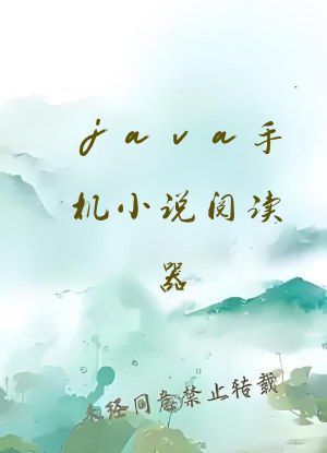 java手机小说阅读器