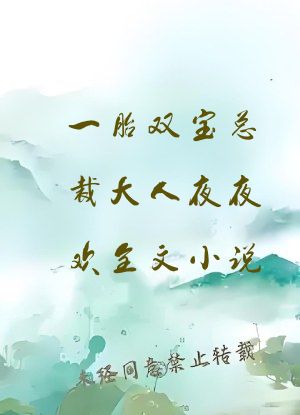 一胎双宝总裁大人夜夜欢全文小说