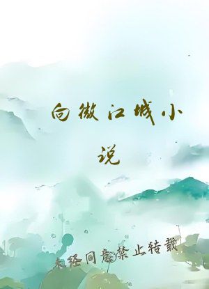 向微江城小说