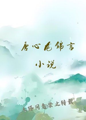 唐心龙锦言小说
