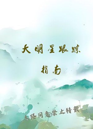 大明星跟踪指南