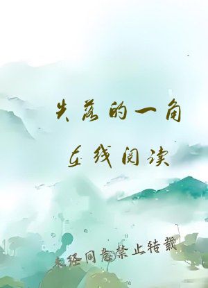 失落的一角在线阅读