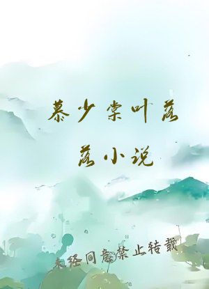 慕少棠叶落落小说