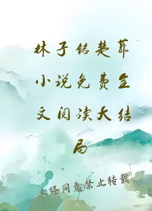 林子铭楚菲小说免费全文阅读大结局