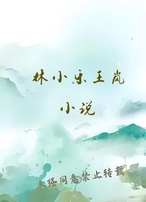 林小乐王岚小说