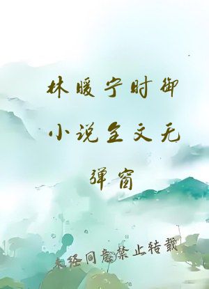 林暖宁时御小说全文无弹窗