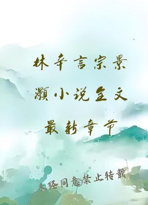 林辛言宗景灏小说全文最新章节