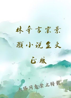 林辛言宗景灏小说全文正版