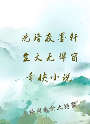 沈琦夜墨轩全文无弹窗奇快小说