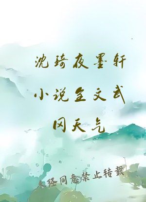 沈琦夜墨轩小说全文武冈天气