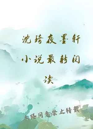 沈琦夜墨轩小说最新阅读