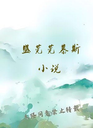 盛莞莞慕斯小说