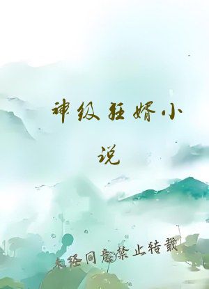 神级狂婿小说
