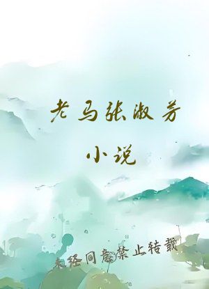 老马张淑芳小说