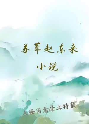 苏菲赵东来小说