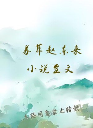 苏菲赵东来小说全文