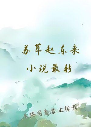 苏菲赵东来小说最新